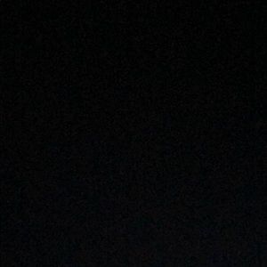 Meet your Posher, Trevor